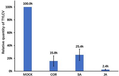 Physiological and transcriptomic analyses revealed gene networks involved in heightened resistance against tomato yellow leaf curl virus infection in salicylic acid and jasmonic acid treated tomato plants